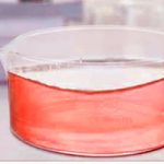 cristalizador de laboratorio usos y caracteristicas